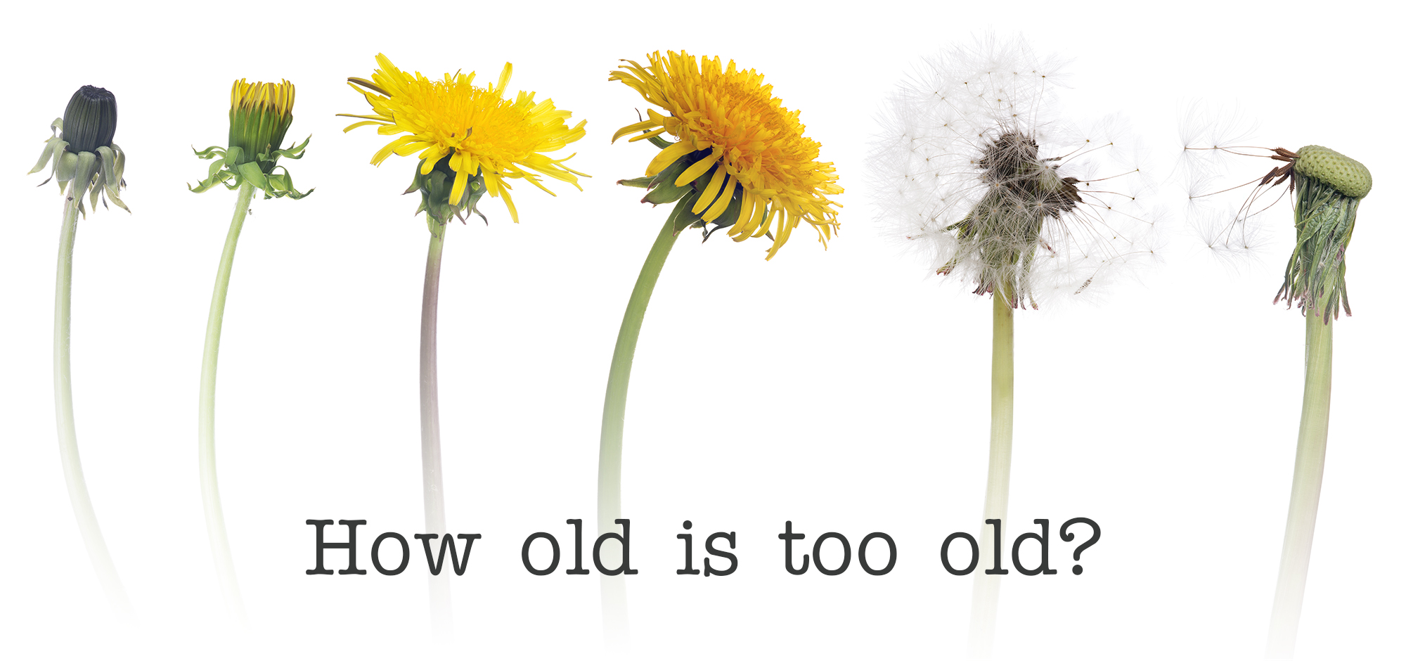 How old is too old?