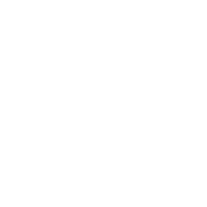 Alabama Civil Justice Foundation, a web design client of dandelion marketing, LLC