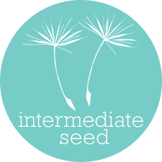 Intermediate Seed Local SEO Package