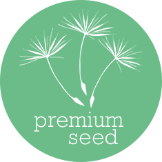 Premium Seed Local SEO Package