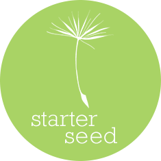 Starter Seed Local SEO Package