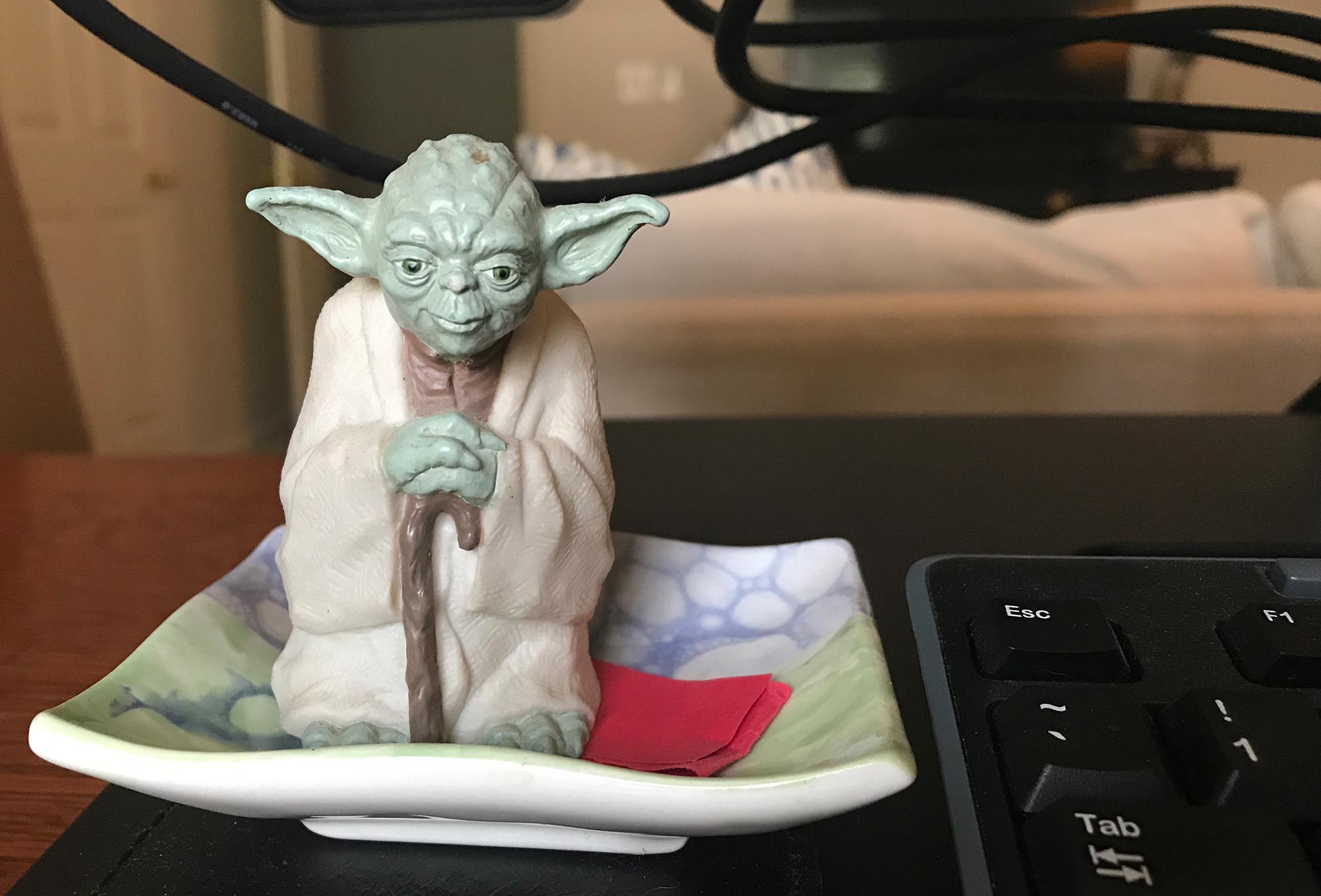 Yoda ... Oversees the business, he does.