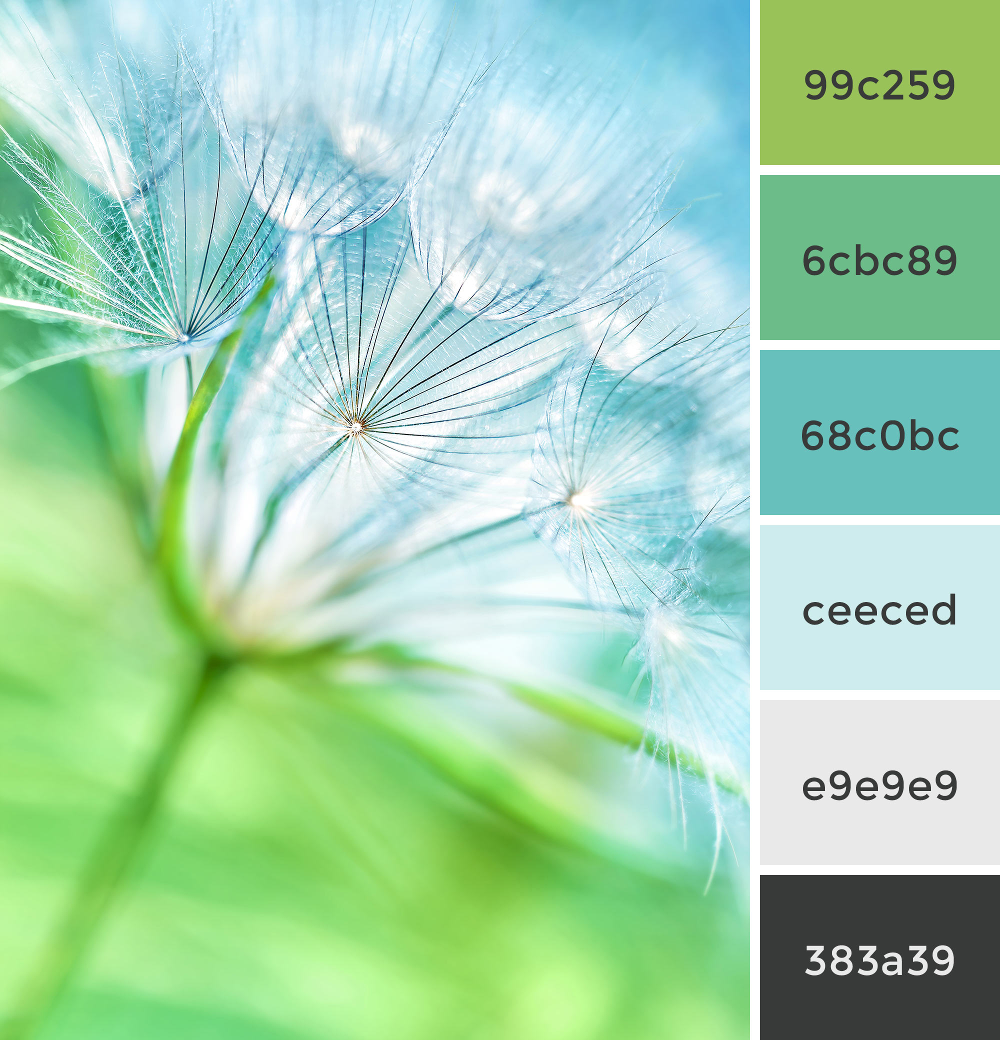 Mint Green Color Palette - Mint Green Color Schemes