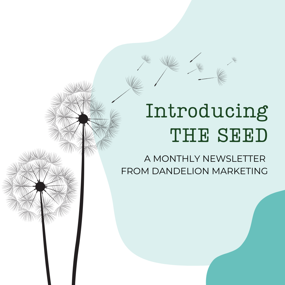 The Seed - Newsletter by dandelion marketing LLC