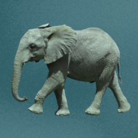 The Elephant In The Room: Should you be using AI in marketing?