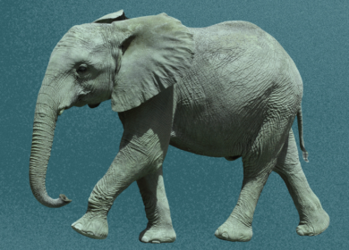 The Elephant In The Room: Should you be using AI in marketing?