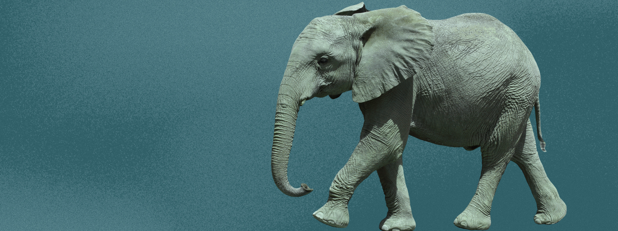 The Elephant In The Room: Should you be using AI in marketing? 